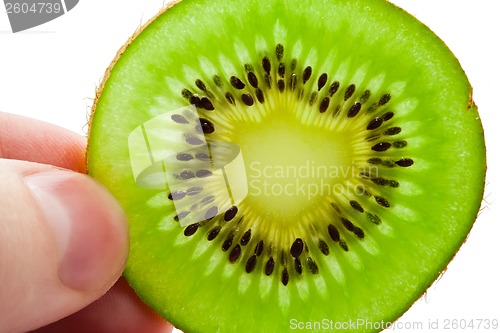 Image of Kiwi