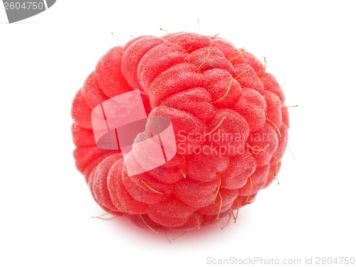 Image of Fresh raspberry