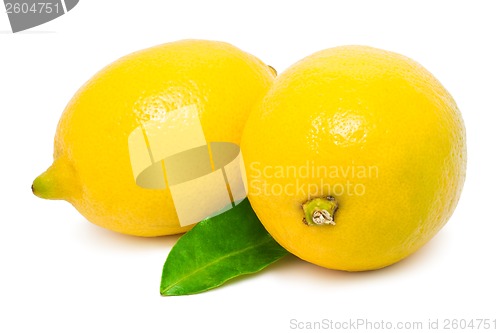 Image of Lemon