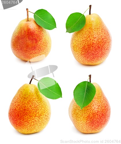 Image of Pears