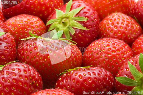 Image of Strawberries