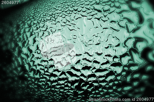 Image of Green drops of water - light from backside. Macro