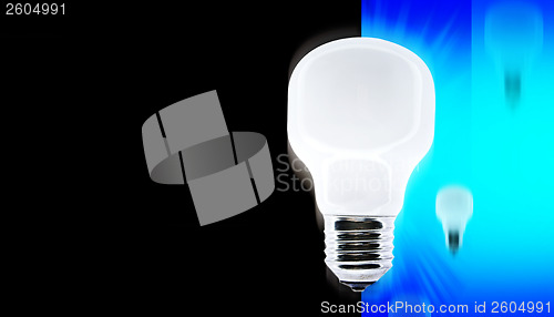 Image of White bulb