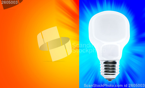 Image of White bulb