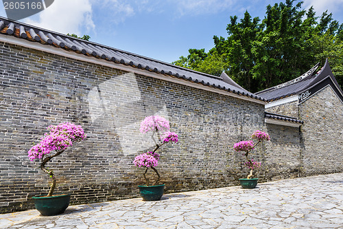 Image of Traditional chinese garden