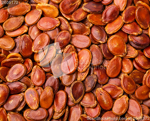 Image of Red melon seed