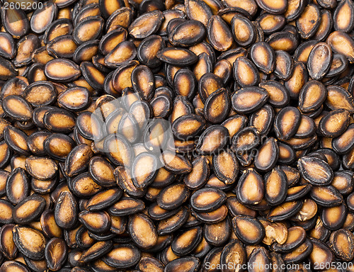 Image of Watermelon seed in black