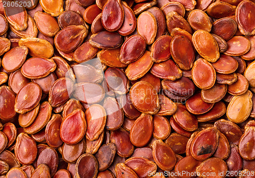 Image of Red melon seeds 