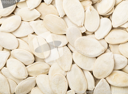 Image of Pumpkin seed