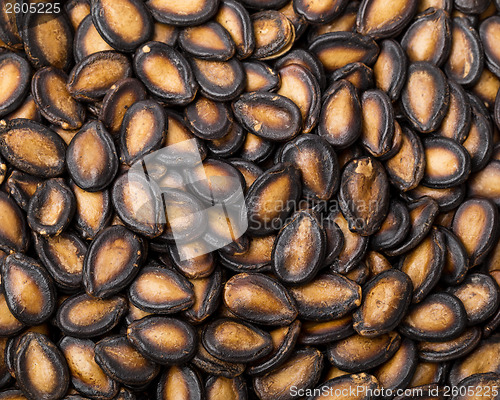 Image of Dried black melon seed