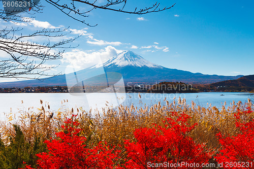 Image of Mt. Fuji in autumn