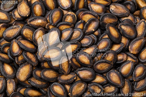 Image of Black watermelon seed