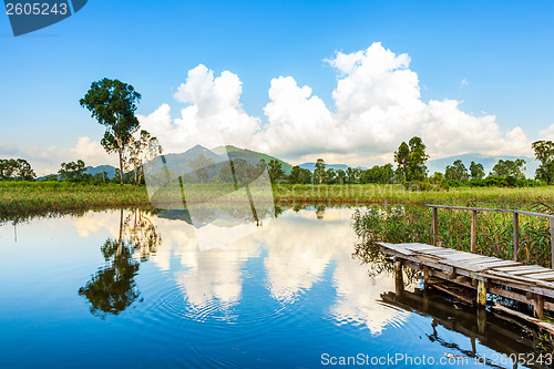 Image of Wetlands and green forest