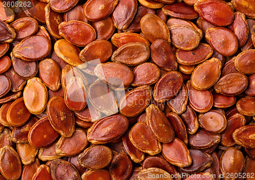 Image of Dried red melon seed