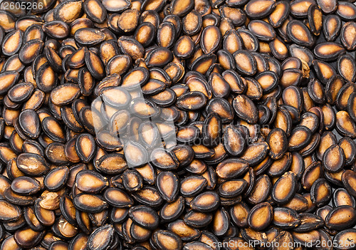 Image of Watermelon seed in black