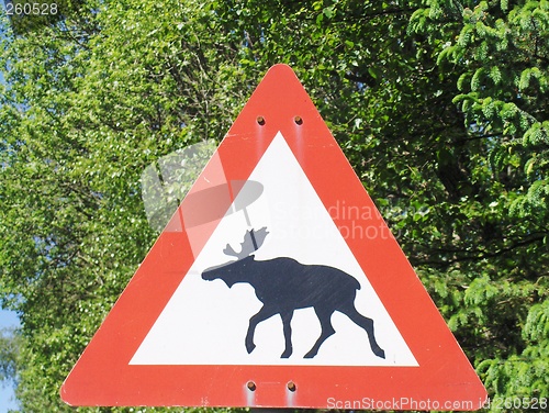 Image of Road sign,beware of moose in the road