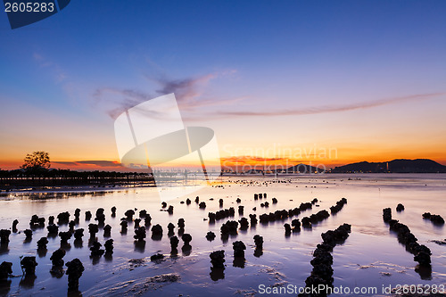 Image of Beautiful seascape