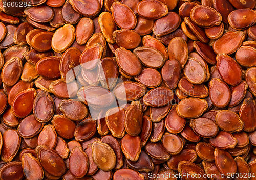 Image of Red watermelon seeds 