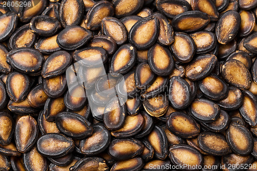 Image of Black dry watermelon seed