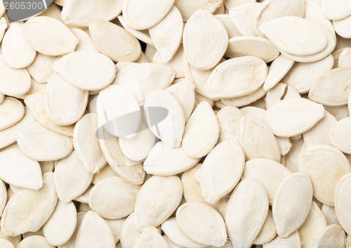 Image of White Pumpkin seed