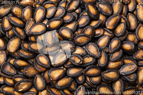 Image of Dry watermelon seed