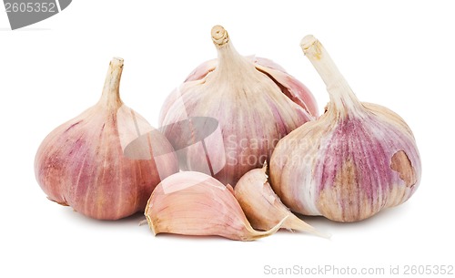 Image of Garlic