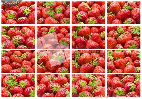 Image of Strawberry