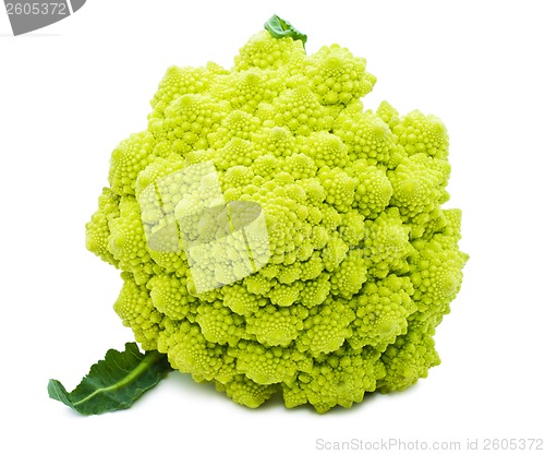 Image of Romanesco broccoli