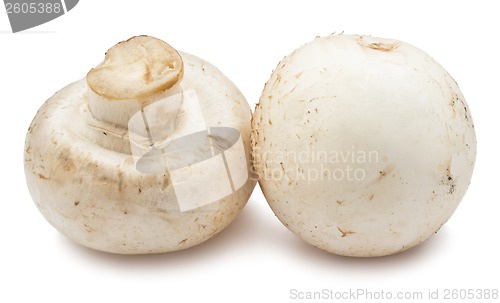 Image of Champignon mushrooms