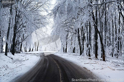 Image of Winter Road