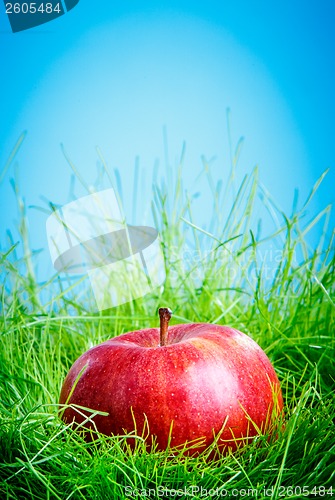 Image of Apple on the grass