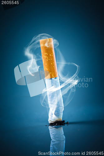 Image of Cigarette butt - No smoking.