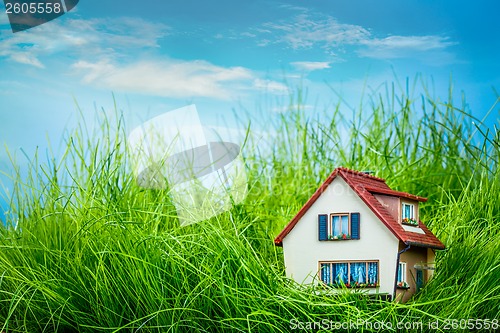 Image of House on the green grass