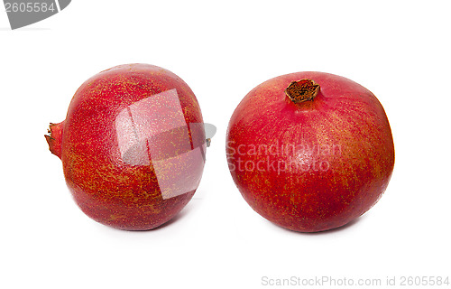 Image of Pomegranate