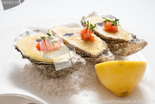 Image of oysters with sauce and lemon on plate