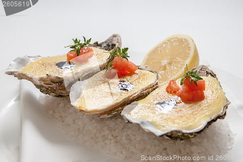 Image of oysters with sauce and lemon on plate