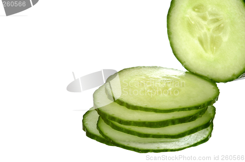 Image of Cucumber # 03