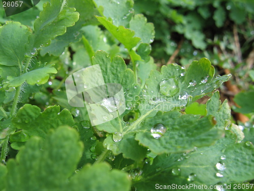 Image of Taken a shower