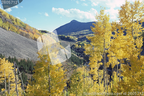 Image of Colorado Autumn