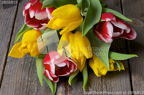 Image of Spring Tulips