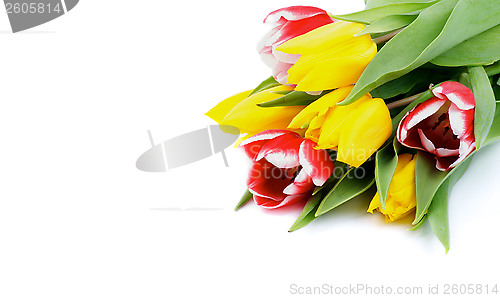 Image of Spring Tulips