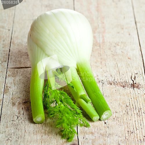 Image of fresh organic fennel