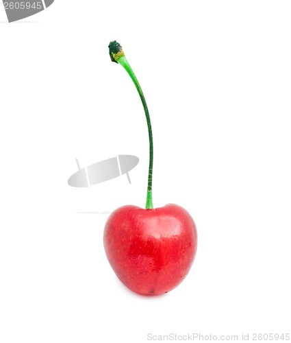 Image of Red cherry
