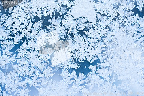 Image of Frost pattern