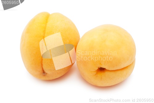 Image of Apricots