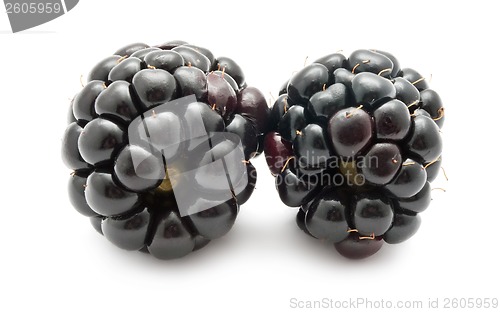 Image of Blackberry