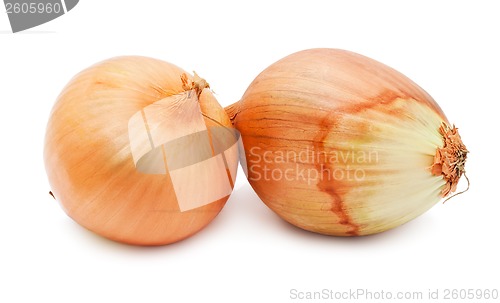 Image of Onion