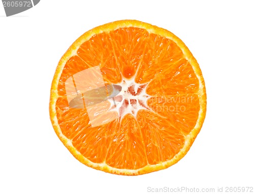 Image of Tangerine