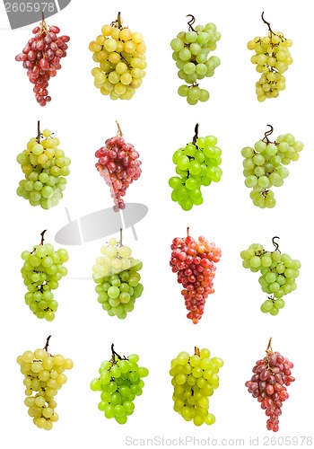 Image of Grapes