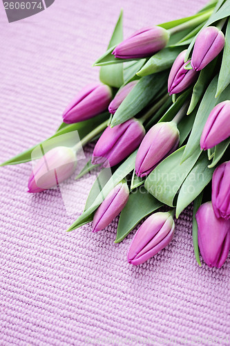 Image of tulips